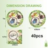 40Pack beetle birthday Party Supplies include 20 plates, 20 napkins for the Beetle party decoration (insect)