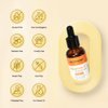 NEUTRIHERBS Vitamin C Serum for Face with Hyaluronic Acid, Firm, Anti Aging, Brighten, Even Skin, Daily Skincare Natural Nourish Facial Serum,1 fl oz