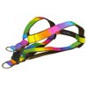 Small Rainbow Dog Harness: 5/8" Wide, Adjusts 15-21" - Made in USA.