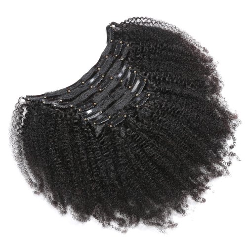 Afro Kinky Curly Clip In Hair Extensions for Black Women Human Hair 4B 4C Hair Extension Natural Black Color Mongolian Virgin Remy Human Hair Afro Curly Clip Ins 1B Color Real Human Hair 10 Inch