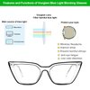 VOOGLAM Oversize Cat Eye Blue Light Blocking Glasses for Women Anti UV Eyestrain Eyewear Lyuba