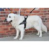 DT Universal No Pull Dog Harness, Therapy Dog, Black, Small, Fits Girth Size: 24-Inch to 27-Inch