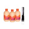 kuss Inebrya Color Perfect Shampoo (10.14 oz) with Teasing Comb Pack of 3
