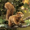 Folkmanis Red Squirrel Hand Puppet, 1 ea