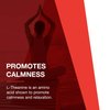 Protocol L-Theanine 200mg - for Brain Health, Relaxed but Alert Mental State & Normal Dopamine & GABA Release* - Calming like Green Tea* - with Inositol - Made without Gluten, Non-GMO - 60 Veg Caps