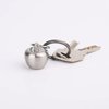 NHDT HN02 Stainless Steel Keychain Pill Holder, Apple Pendant Design, Portable Waterproof Pill Box Container for Purse or Pocket or Necklace, Mini EDC Pill Case for Outdoor Travel.
