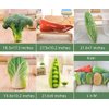 GracesDawn Green Simulation Vegetables, red Peppers, Broccoli, Bitter Melon, peas, Cabbage Vegetable Stuffed Plush Toys, Pillows Lumbar Pillows, Ideal Gift for Children (Broccoli 18.5 inches Long)