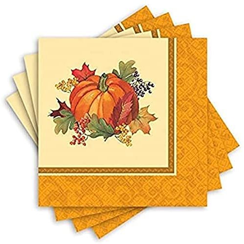 Bountiful Thanksgiving Multicolored Dinner Paper Napkins, 16 Ct. | Party Tableware