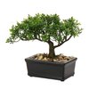 Artificial Bonsai Tree Juniper Faux Plants Indoor Small Fake Plants Decor with Ceramic Pots for Home Table Office Desk Bathroom Shelf Bedroom Living Room Farmhouse Decorations