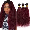 Ombre Human Hair Bundles Burgundy Kinky Curly Bundles Human Hair 18 20 22 Inch Unprocessed Brazilian Human Hair Bundles Red Wine Curly Wave Human Hair Extensions 3 Bundles