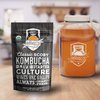 Unbleached Muslin Kombucha Covers - 4 Pack with Rubber Bands - 10" Square Fits Wide Variety Of Jar Openings - Tight Weave Keeps Flies Out - Let's Your Kombucha Breathe - Hand Wash