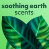 Softsoap Eucalyptus & Mint, Moisturizing Body Wash, 591 ml