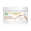 Alba Botanica Intense Hydration Whipped Body Butter, with Shea, Cocoa, and Kukui Nut Butters, 6.5 Oz (Packaging May Vary)