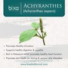 bixa BOTANICAL Achyranthes Aspera Powder (Apamarga) 7 Oz (200g) Herbal Supplement Support Healthy Digestion