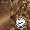Garnier Hair Color Olia Ammonia-Free Brilliant Color Oil-Rich Permanent Hair Dye, 6 1/2.3 Lightest Golden Brown, 1 Count (Packaging May Vary)