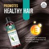 Rosemary Hair Growth Oil - 4 floz/118ml - Hair Oil For Hair Fall Control and Nourishment - Made with Castor Oil, Jojoba Oil, Grape seed Oil, Almond oil, Amla Oil and Bhringraj Oil