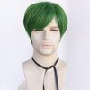 HUNIGIR Mens Green Wig Short Straight Wig Green Boys Anime Wig Heat Resistant Synthetic Halloween Cosplay Wig (Green)