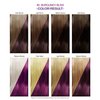 Adore Semi Permanent Hair Color - Vegan and Cruelty-Free Hair Dye - 4 Fl Oz - 085 Burgundy Bliss (Pack of 1)