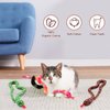 CiyvoLyeen Snake Catnip Toys Kitten Supplies Interactive Catnip Toys for Indoor Cats Snakes Cat Toy Novelty Gift for Cat Lovers Dental Health Chew Catnip Toy for Cats Set of 3