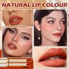 CAHIUYOA 2PCS Red Brown Matte Lipstick Set for Women Natural Velvet Matte Lipstick Moisturizing Long Lasting Lip Gloss Non-Stick Cup Lip Stick Makeup - 02 Orange Red Brown