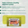 Digestíssimoh! Digestive Enzymes, Probiotics – 9 Strains, Ginger Extract for Digestive Health & Gut Support, Meal Time Discomfort Relief & Bloating, Gluten-Free and Dairy-Free, 30 Capsules