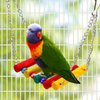TogyGooty Pet Bird Toys, Parakeet Toys Natural Bird Toys Bird Cage Accessories, Swinging Chewing Hanging Standing Bird Swings Suitable for Budgerigar, Parakeet, Conure, Lovebird, Cockatiel