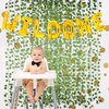 16 inch Happy Birthday Balloons, Birthday Banner, Birthday Decorations, and 12 Pieces Artificial Ivy Garland (Wild One)
