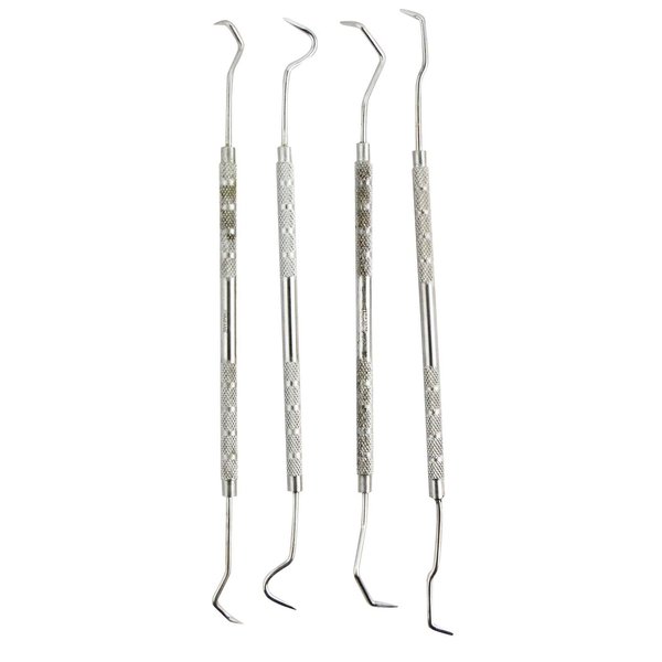 SE Double Ended Dental Pick Set