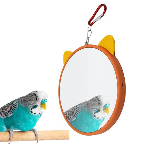 Small Bird Mirror Toy Hanging Bird Cage Swing Accessories Reflector Toy for Birds Parrot Parakeet Conure Budgie Finch Canary