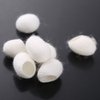 TTSAM 100pcs Fresh Natural Silk Ball Cocoons Facial Cleanser Balls Healthy Skin Care Scrub Face Massage