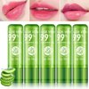 DuoZeng 5 Pcs Aloe Vera Lipstick,Color Changing Change Lipstick for Women Long Lasting Moisturizing Lip Gloss Lip Care Tinted Lip Balm,Magic Lipstick Temperature PH Color Changing Lip Stick