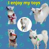 SAFLOGA 12 Dog Toys Pack Puppy Toy Bundle, Dog Rope Toys, Pack Puppy Chew Toys, Assorted Tough Rope, Toys for Small to Medium Dogs, Puppy Toys to Keep Them Busy, Puppy Teething Toys Dog Toy Bundle.