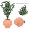 Jeankak Miniature 1:12 Dollhouse Plant, Vivid Dollhouse Bonsai, Dollhouse Accessory Dollhouse Furniture for Dollhouse