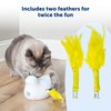 Peek-A-Bird Cat Toy Replacement Feathers – 2 Pack Refill Parts – Interactive Teaser Toy for Indoor Cats