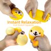 Cute Dog Stress Balls for Kids, Orange Dogs Fidget Toys for Adults，Squishy Toys, Dough Ball Sensory Toys, Kawaii Squishy Animal Squeeze Stress Balls, Fun Party Favors and Gifts for Boys and Girls