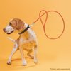 Dogline 3/8-Inch Wide Soft Padded Rolled Round Leather Dog Leash Lead, 4-Feet, Orange