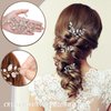 Wedding Hair Accessories: Bridal Headpiece With Hair Piece for Brides (Silver)