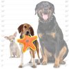 DURA FORCE - Durable Woven Fiber - Star Orange & Yellow - Squeakers - Multiple Layers. Made Durable, Strong & Tough. Interactive Play Dog Toy (Tug, Toss & Fetch). Machine Washable & Floats (Regular)