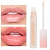 HURRISE Lip Lines Fading Oil, Hyaluronic Lip Gloss Oil Lip Care Oil Shiny Nourishing Lip Gloss for Makeup