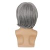 RicHyun Mens Grey Wig Short Grey Wig Side Part Synthetic Hair Replacement Wig for Daily Party Costume Halloween