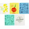 (5 Pack) EcoJeannie Eco-Friendly German Cleaning Cloth 100% Biodegradable Cellulose Sponge Cloths, Kitchen Cloths, GMO-Free, Reusable - Made in Germany Packaged in P.R.C.