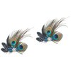 Peacock Hair Clip, 2pcs Carnival Party Hairpin, Wedding Dance Party Hair Accessory, Charming Peacock Headpiece Hair Accessories