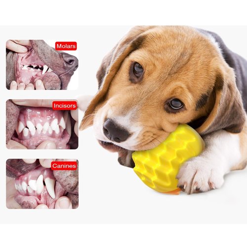 Squeaky Dog Ball Toy for Aggressive Chewers - Dental Dog Toy for Healthy Teeth & Gums - Spiky Ball Durable Floatable Rubber Pet Toys - Mental Enrichment - All Breed Sizes