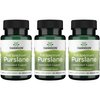 Swanson Full Spectrum Purslane 400 Milligrams 60 Veg Capsules (3 Pack)