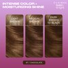 Clairol Bold & Bright Permanent Hair Dye, 67 Chocolate Hair Color, Pack of 1