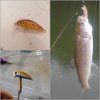 wLure 10 Blank Unpainted Lure Body Sinking Minnow Crankbait 1 3/4 inch Fishing Lures with Free Eyes UPC617P10
