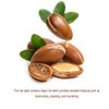 Nature Republic Argan Essential Deep Care Hair Pack 200ml dry hair, heat damaged hair, color-treated hair