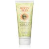 Burt's Bees Aloe & Coconut Oil After Sun Soother 6 oz (Pack of 3)