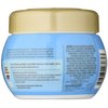 Garnier Whole Blends Hydrating Mask, Coconut Water & Vanilla Milk Extracts, 10.1 Fl Oz (Pack of 1)