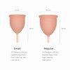 Saalt Soft Menstrual Cup - Best Sensitive Reusable Period Cup - Wear for 12 Hours - Tampon and Pad Alternative (Small (Pack of 1), Desert Blush)